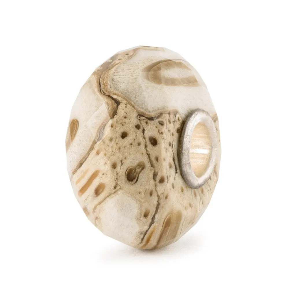 Trollbeads Fossilised Wood