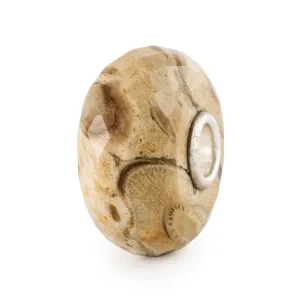 Trollbeads Fossilised Wood