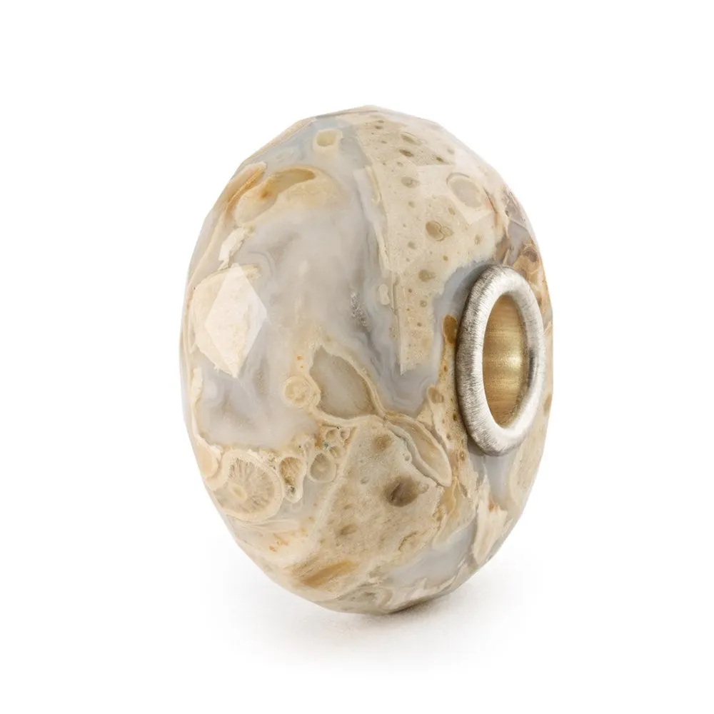 Trollbeads Fossilised Wood