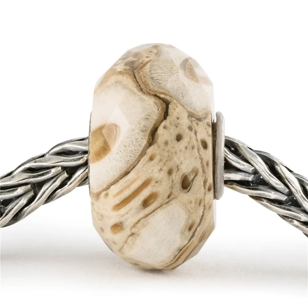 Trollbeads Fossilised Wood
